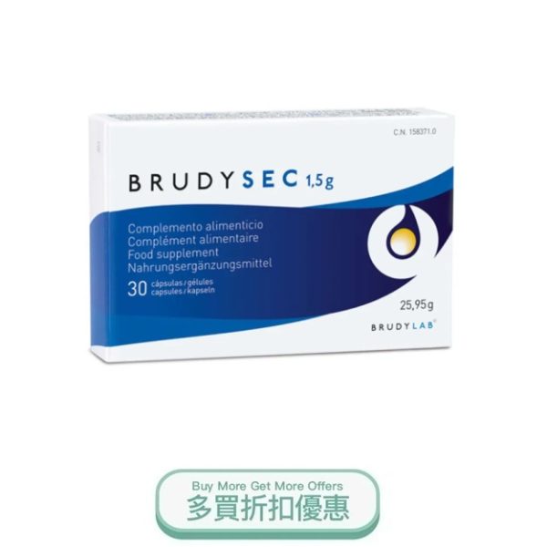 BRUDYSEC